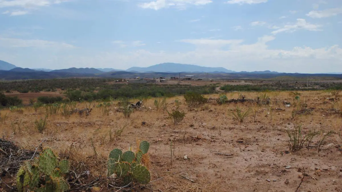 Carretera a Ojinaga